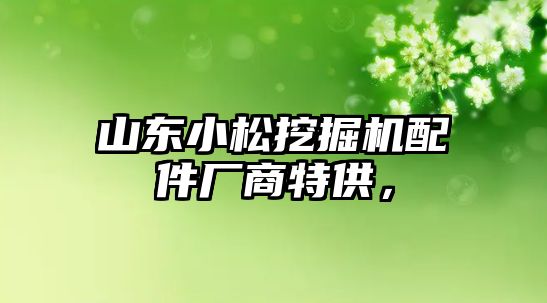 山東小松挖掘機配件廠商特供，