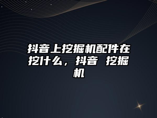 抖音上挖掘機配件在挖什么，抖音 挖掘機