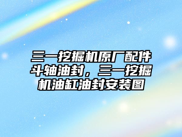 三一挖掘機(jī)原廠配件斗軸油封，三一挖掘機(jī)油缸油封安裝圖