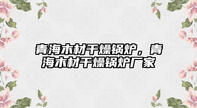 青海木材干燥鍋爐，青海木材干燥鍋爐廠家