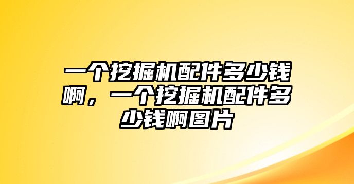 一個(gè)挖掘機(jī)配件多少錢(qián)啊，一個(gè)挖掘機(jī)配件多少錢(qián)啊圖片