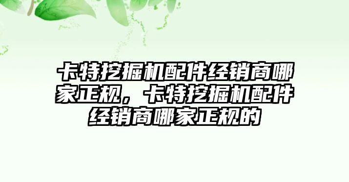 卡特挖掘機(jī)配件經(jīng)銷商哪家正規(guī)，卡特挖掘機(jī)配件經(jīng)銷商哪家正規(guī)的