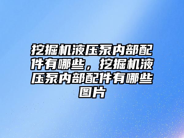 挖掘機液壓泵內(nèi)部配件有哪些，挖掘機液壓泵內(nèi)部配件有哪些圖片