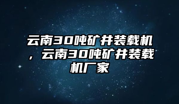 云南30噸礦井裝載機(jī)，云南30噸礦井裝載機(jī)廠家