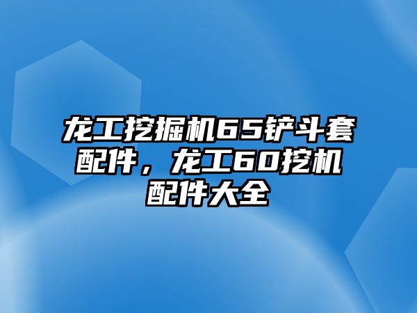 龍工挖掘機(jī)65鏟斗套配件，龍工60挖機(jī)配件大全