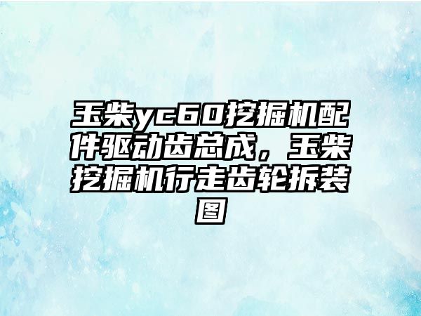 玉柴yc60挖掘機配件驅動齒總成，玉柴挖掘機行走齒輪拆裝圖