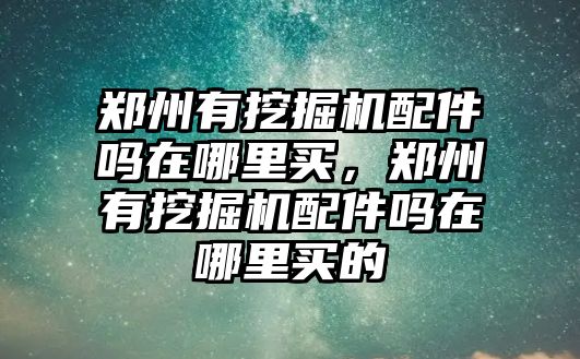 鄭州有挖掘機(jī)配件嗎在哪里買，鄭州有挖掘機(jī)配件嗎在哪里買的