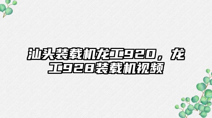 汕頭裝載機龍工920，龍工928裝載機視頻