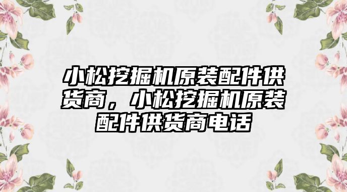 小松挖掘機(jī)原裝配件供貨商，小松挖掘機(jī)原裝配件供貨商電話