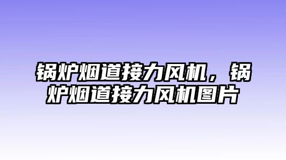 鍋爐煙道接力風(fēng)機(jī)，鍋爐煙道接力風(fēng)機(jī)圖片