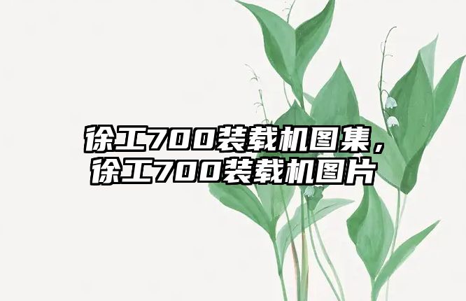 徐工700裝載機圖集，徐工700裝載機圖片