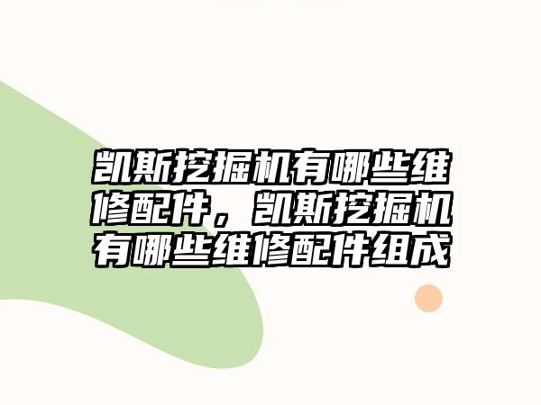 凱斯挖掘機(jī)有哪些維修配件，凱斯挖掘機(jī)有哪些維修配件組成