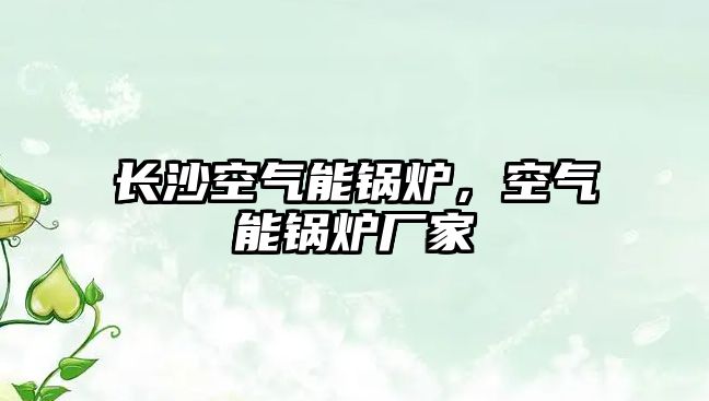 長(zhǎng)沙空氣能鍋爐，空氣能鍋爐廠(chǎng)家