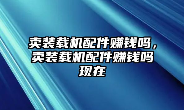 賣裝載機(jī)配件賺錢嗎，賣裝載機(jī)配件賺錢嗎現(xiàn)在