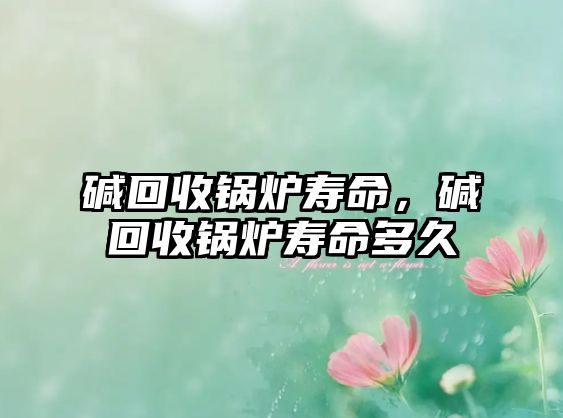 堿回收鍋爐壽命，堿回收鍋爐壽命多久