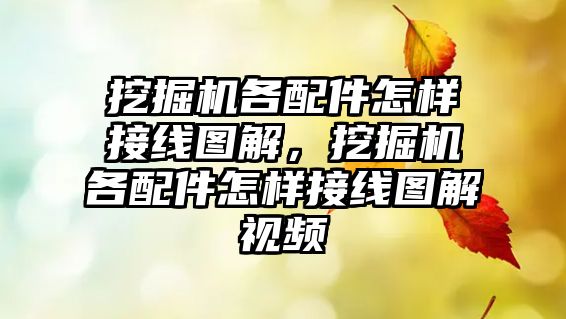 挖掘機各配件怎樣接線圖解，挖掘機各配件怎樣接線圖解視頻