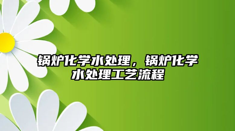 鍋爐化學(xué)水處理，鍋爐化學(xué)水處理工藝流程