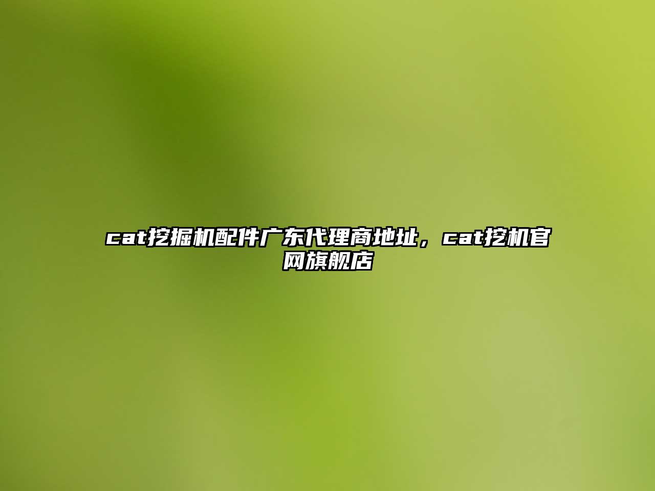 cat挖掘機(jī)配件廣東代理商地址，cat挖機(jī)官網(wǎng)旗艦店