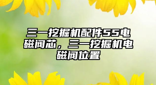 三一挖掘機配件55電磁閥芯，三一挖掘機電磁閥位置