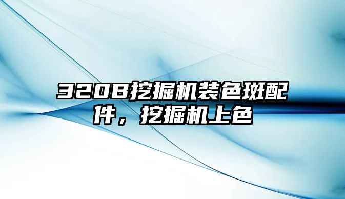 320B挖掘機裝色斑配件，挖掘機上色