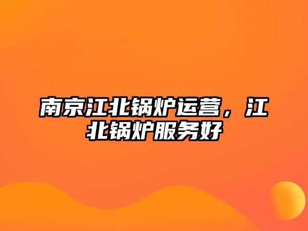 南京江北鍋爐運(yùn)營(yíng)，江北鍋爐服務(wù)好