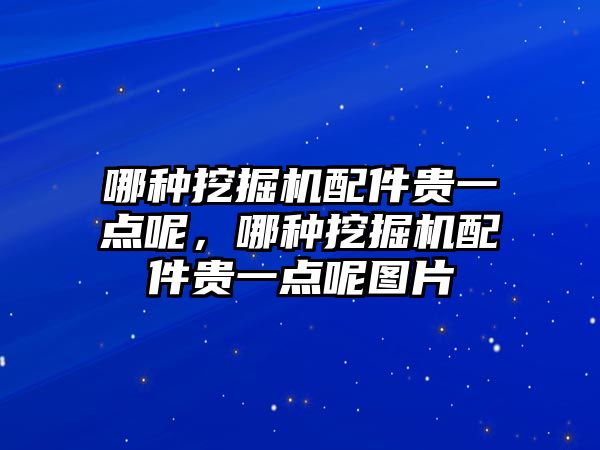 哪種挖掘機配件貴一點呢，哪種挖掘機配件貴一點呢圖片