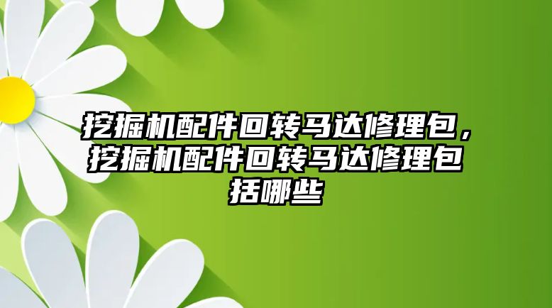 挖掘機配件回轉馬達修理包，挖掘機配件回轉馬達修理包括哪些