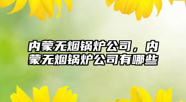 內(nèi)蒙無煙鍋爐公司，內(nèi)蒙無煙鍋爐公司有哪些