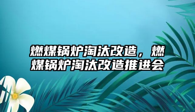 燃煤鍋爐淘汰改造，燃煤鍋爐淘汰改造推進會