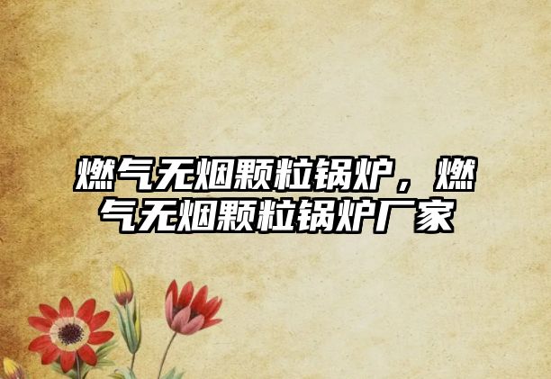 燃?xì)鉄o(wú)煙顆粒鍋爐，燃?xì)鉄o(wú)煙顆粒鍋爐廠家