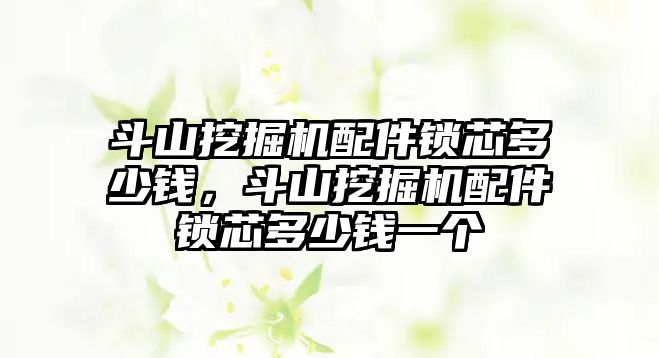 斗山挖掘機配件鎖芯多少錢，斗山挖掘機配件鎖芯多少錢一個