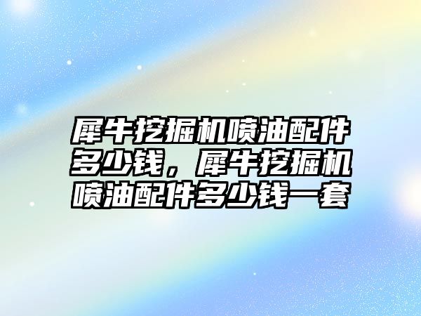 犀牛挖掘機噴油配件多少錢，犀牛挖掘機噴油配件多少錢一套