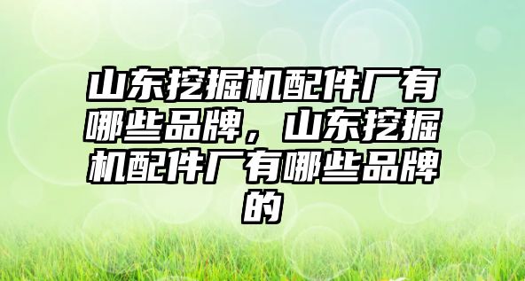 山東挖掘機配件廠有哪些品牌，山東挖掘機配件廠有哪些品牌的