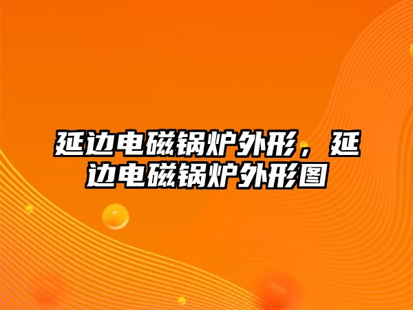 延邊電磁鍋爐外形，延邊電磁鍋爐外形圖