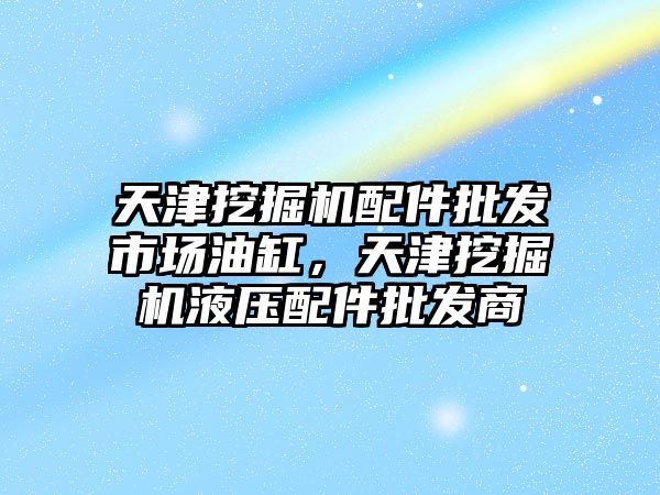 天津挖掘機配件批發(fā)市場油缸，天津挖掘機液壓配件批發(fā)商