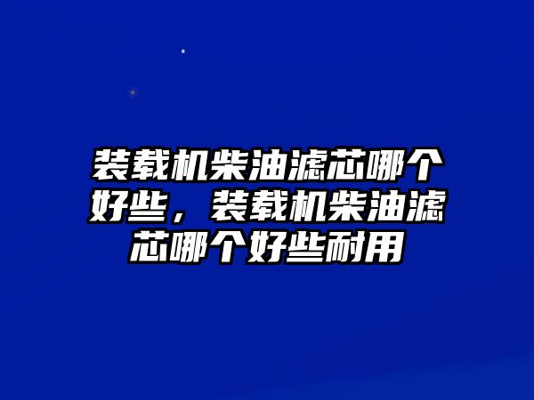 裝載機(jī)柴油濾芯哪個(gè)好些，裝載機(jī)柴油濾芯哪個(gè)好些耐用