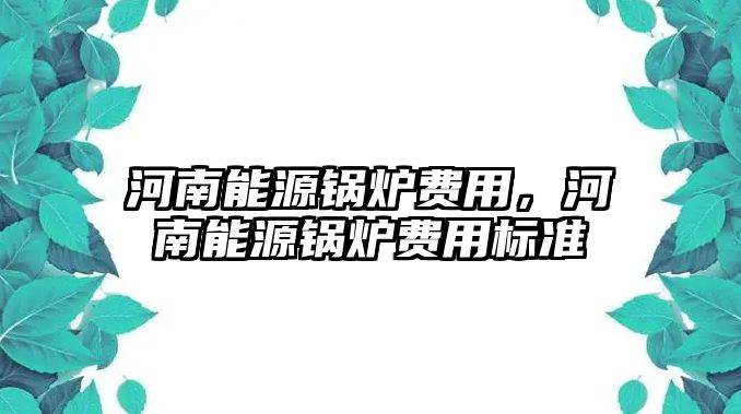 河南能源鍋爐費用，河南能源鍋爐費用標(biāo)準(zhǔn)