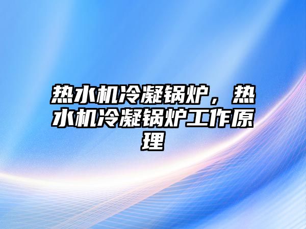 熱水機冷凝鍋爐，熱水機冷凝鍋爐工作原理