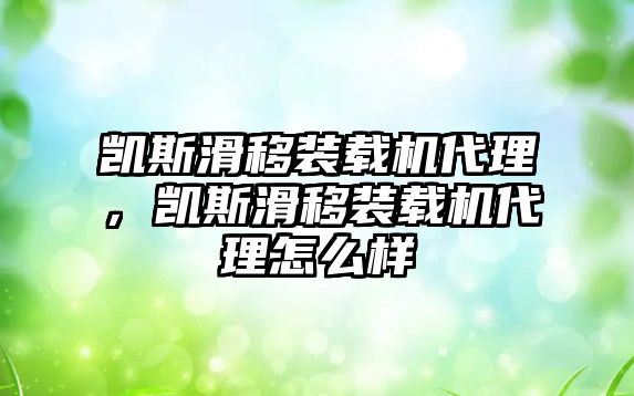 凱斯滑移裝載機代理，凱斯滑移裝載機代理怎么樣