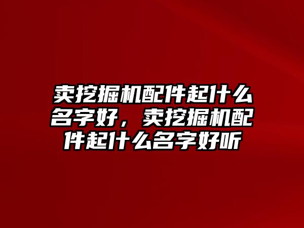 賣挖掘機配件起什么名字好，賣挖掘機配件起什么名字好聽