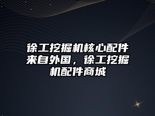 徐工挖掘機核心配件來自外國，徐工挖掘機配件商城