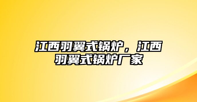 江西羽翼式鍋爐，江西羽翼式鍋爐廠家