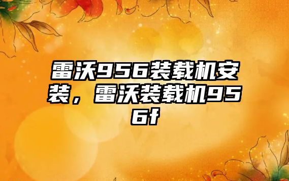 雷沃956裝載機安裝，雷沃裝載機956f