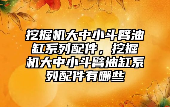 挖掘機大中小斗臂油缸系列配件，挖掘機大中小斗臂油缸系列配件有哪些