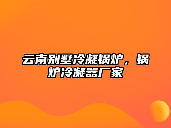 云南別墅冷凝鍋爐，鍋爐冷凝器廠家