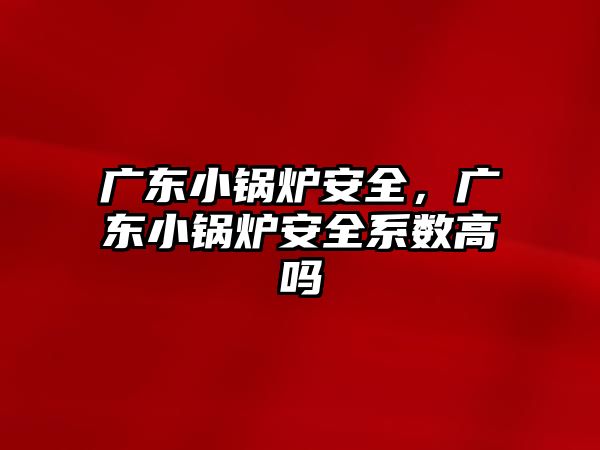 廣東小鍋爐安全，廣東小鍋爐安全系數(shù)高嗎