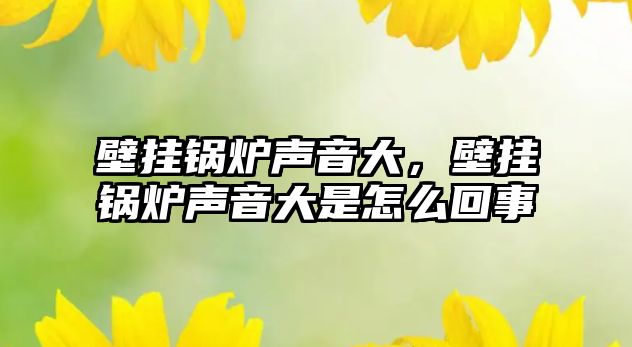 壁掛鍋爐聲音大，壁掛鍋爐聲音大是怎么回事