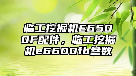 臨工挖掘機E6500F配件，臨工挖掘機e6600fb參數(shù)