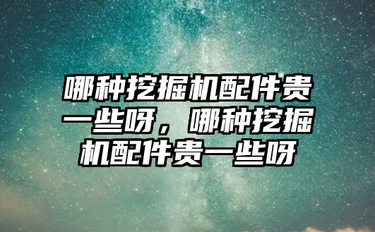 哪種挖掘機配件貴一些呀，哪種挖掘機配件貴一些呀