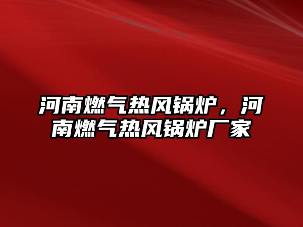 河南燃?xì)鉄犸L(fēng)鍋爐，河南燃?xì)鉄犸L(fēng)鍋爐廠家